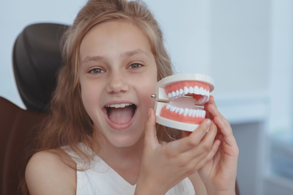 A young girl at Lake Sammamish Kids Dentistry - Pediatric Dentist in Sammamish, WA, smiles with her mouth open while holding a dental model—an ideal setting to discuss When Should Your Child See a Dentist in Sammamish, WA?