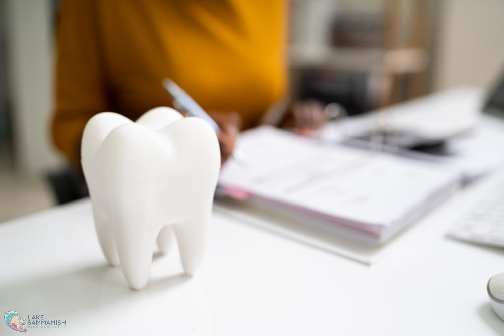 At Lake Sammamish Kids Dentistry in Sammamish, WA, a white tooth model sits on a desk near papers with someone writing behind - How to Prevent Baby Bottle Decay in Sammamish, WA